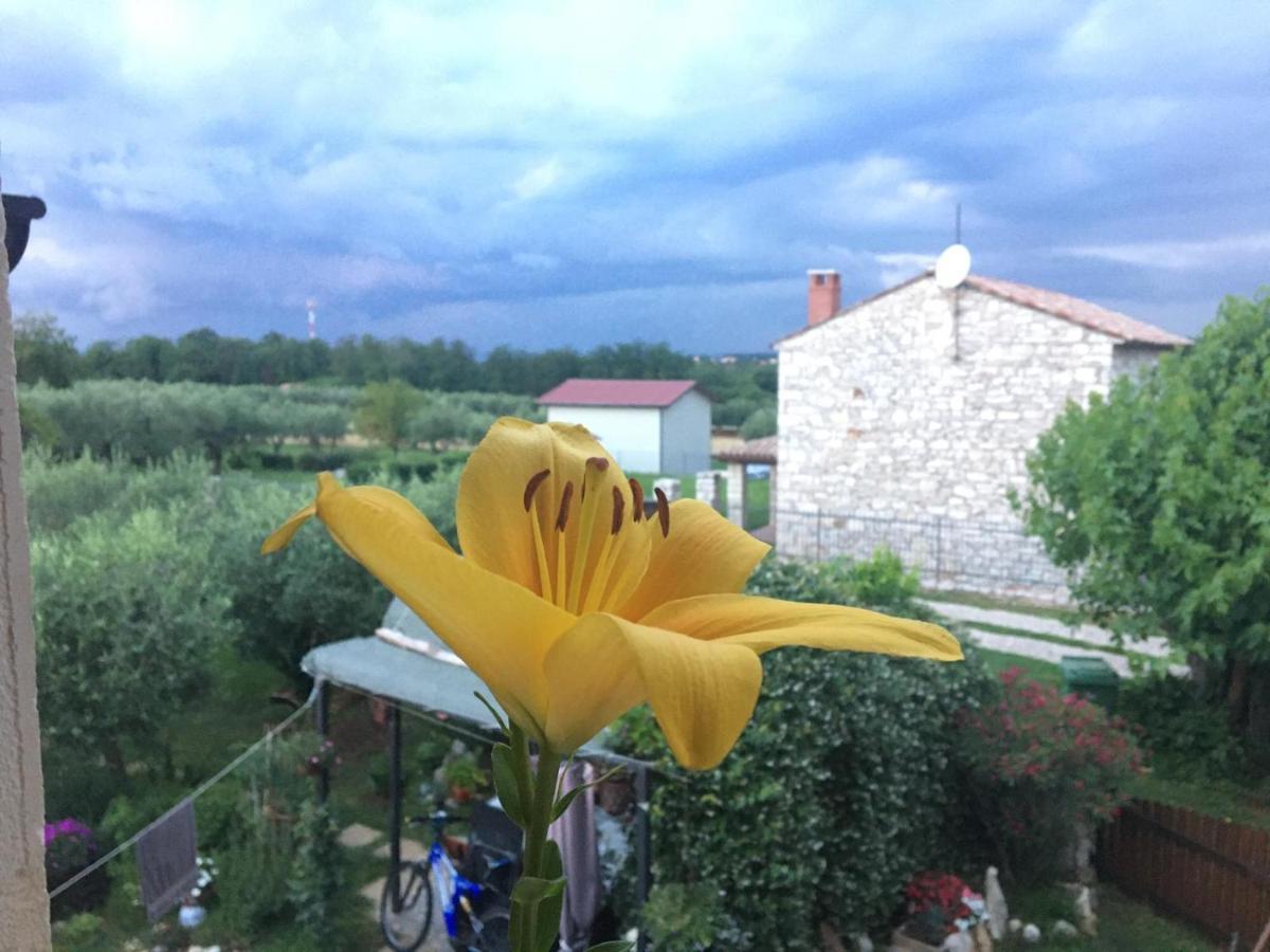 Appartment Hacienda Monica Umag Dış mekan fotoğraf
