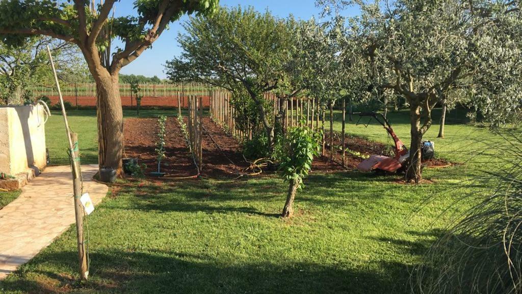 Appartment Hacienda Monica Umag Dış mekan fotoğraf